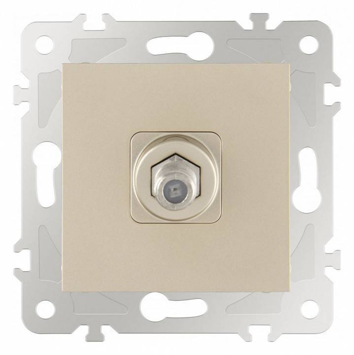 ТВ-розетка без рамки Arte Milano am-203 203.42-1.shampan