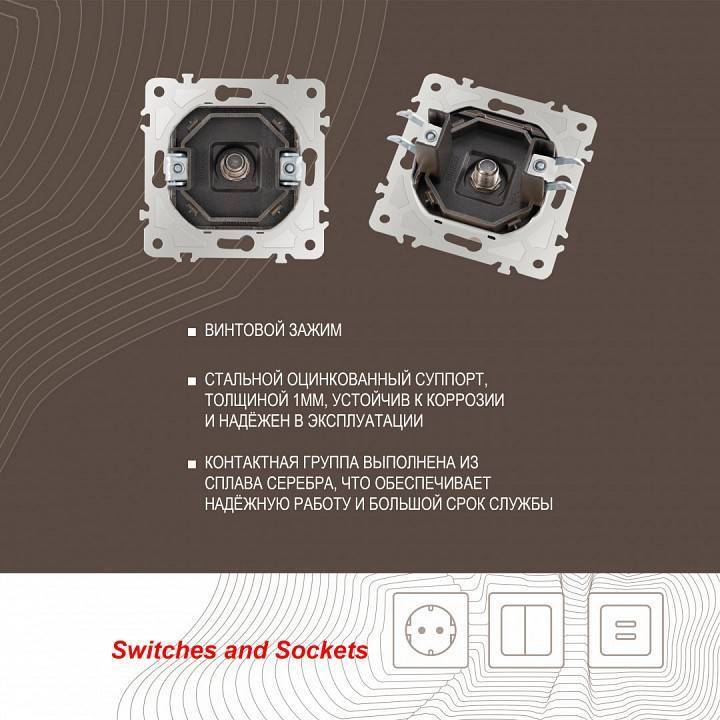 ТВ-розетка без рамки Arte Milano am-203 203.42-1.shampan