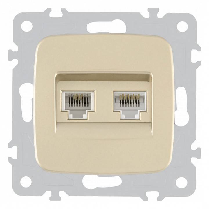 Розетка двойная RJ-11 и Ethernet RJ-45, без рамки Arte Milano am-205 205.44-1.shampan