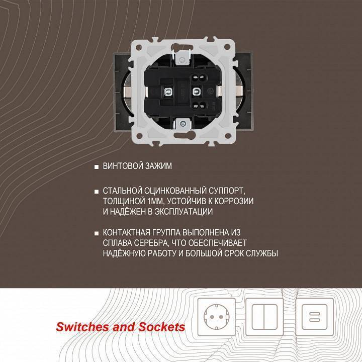 Розетка двойная с заземлением, без рамки Arte Milano am-206 206.40-2.shampan