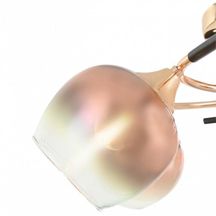 Потолочная люстра Arte Milano AMALFI 5 ламп 324985/5 FG+BK