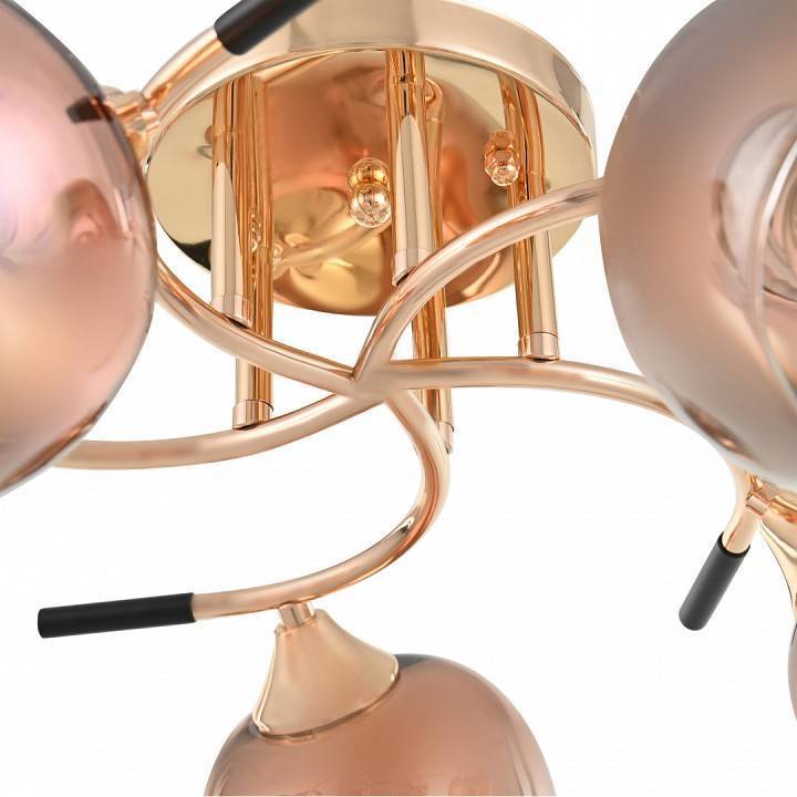 Потолочная люстра Arte Milano AMALFI 5 ламп 324985/5 FG+BK