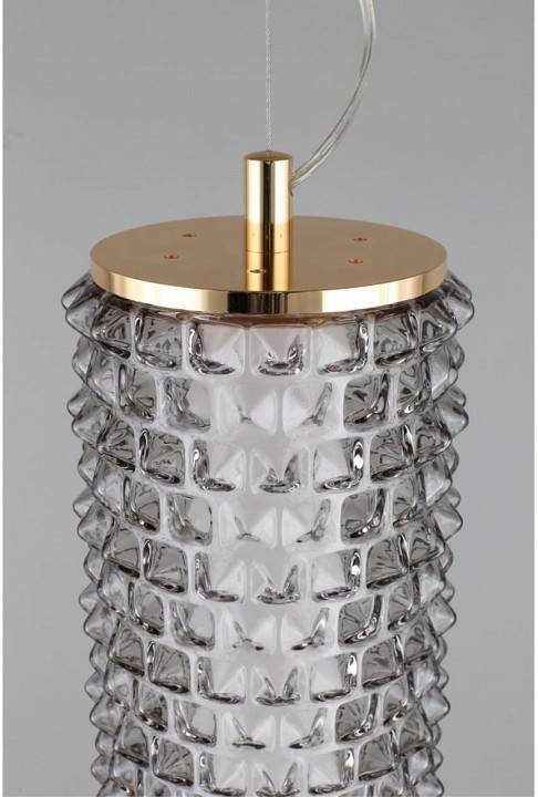 Подвесной светильник Aployt Ozann APL.331.16.29