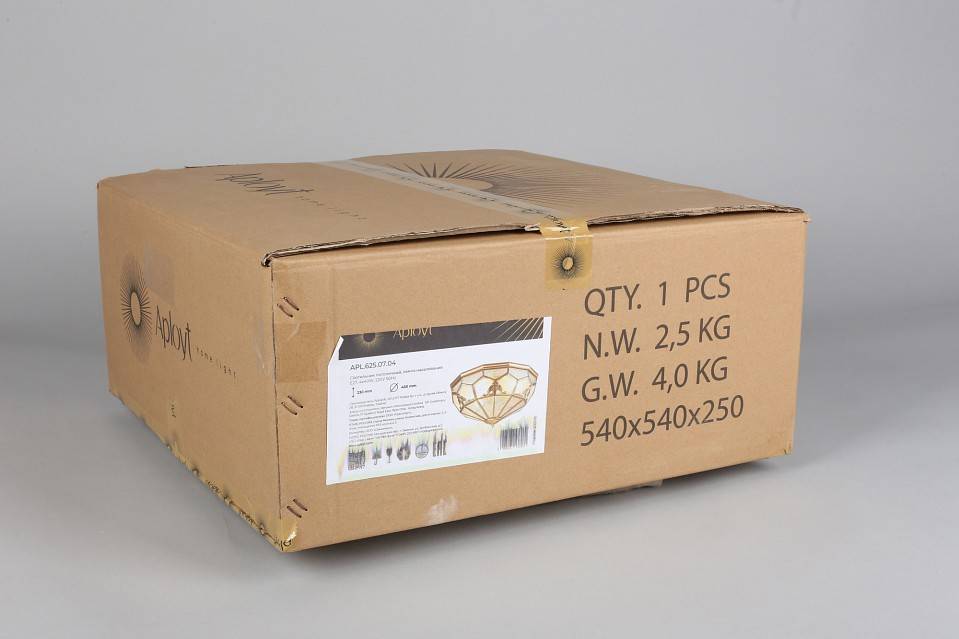 Накладной светильник Aployt Leoni APL.625.07.04