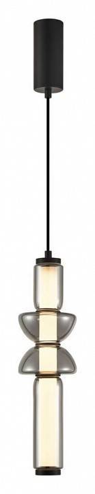 Подвесной светильник Aployt Elin APL.665.06.17