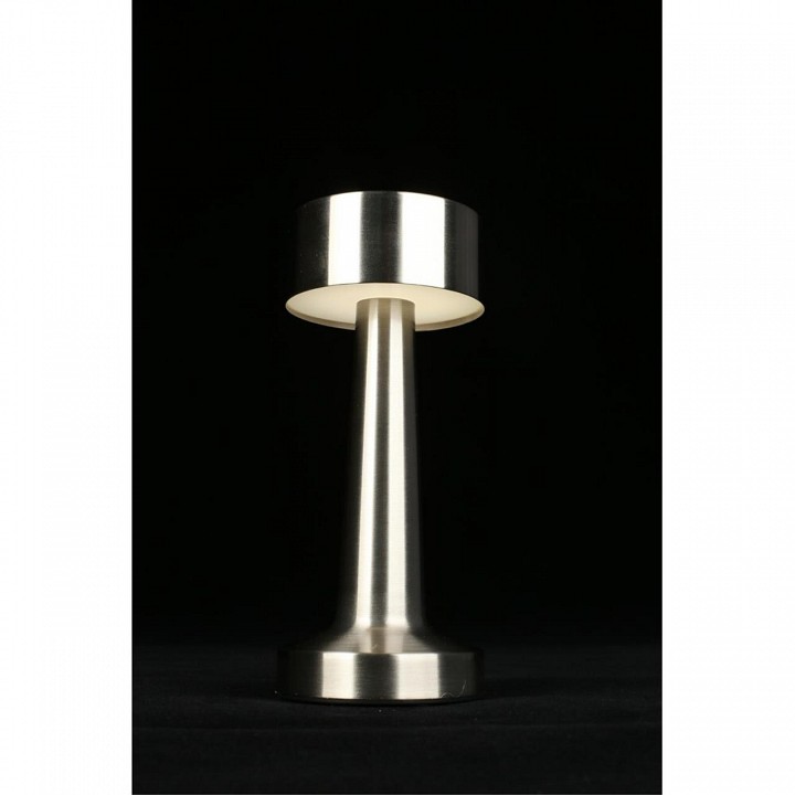 Настольная лампа декоративная Aployt Perrayn APL.671.14.01