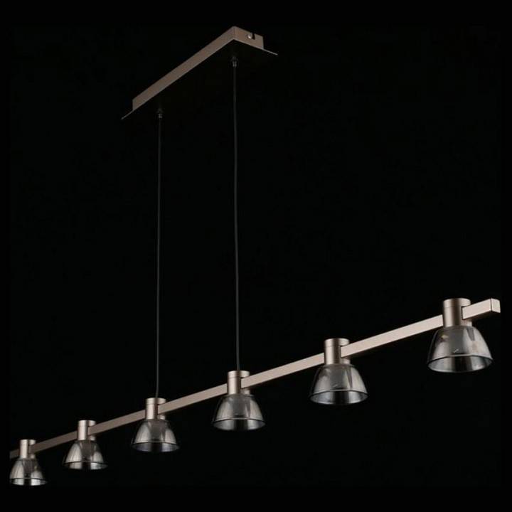 Подвесной светильник Aployt Rezeda APL.788.03.06