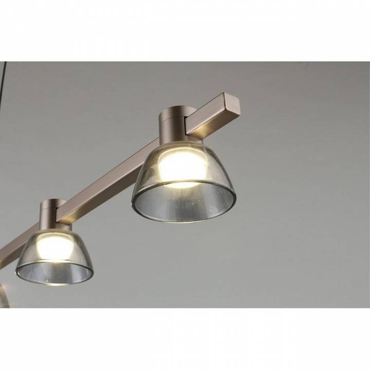 Подвесной светильник Aployt Rezeda APL.788.03.06