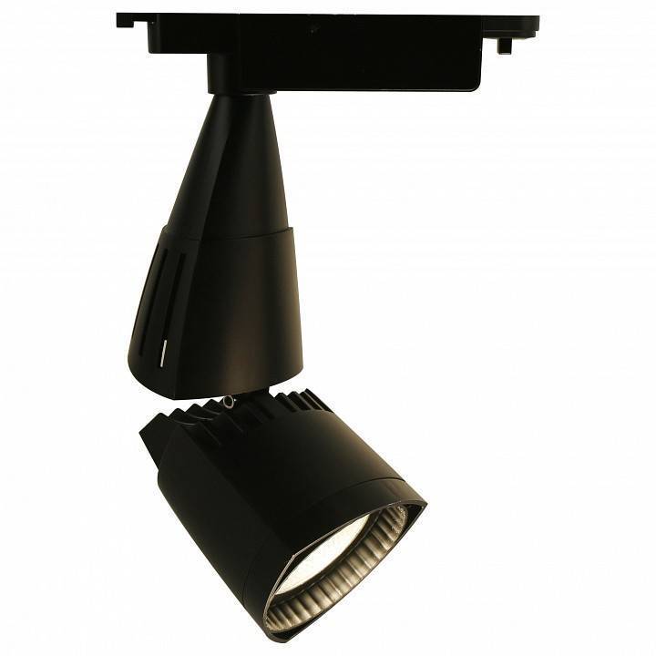 Потолочный светильник Arte Lamp 3830 A3830PL-1BK