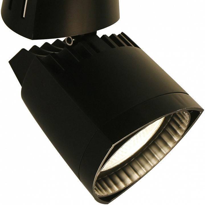 Потолочный светильник Arte Lamp 3830 A3830PL-1BK