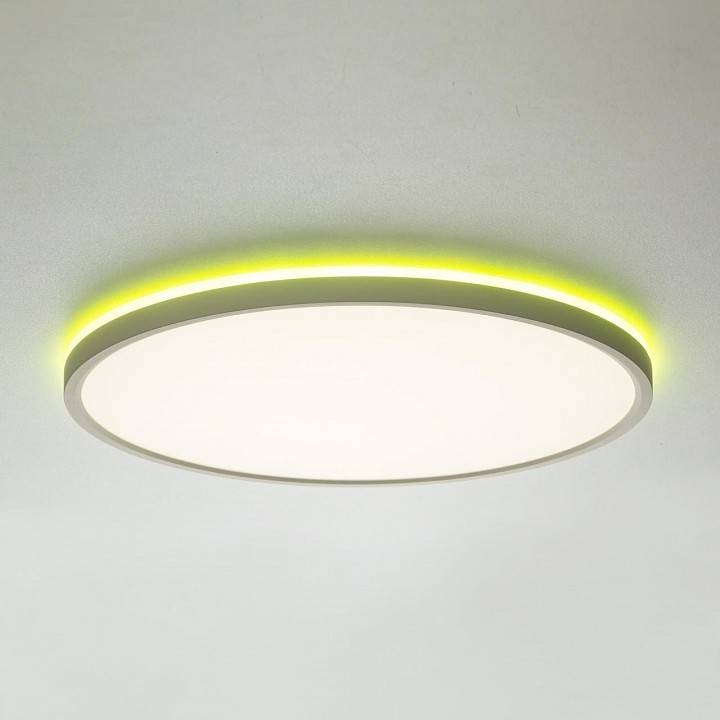 Накладной светильник Citilux NORMA CL749400