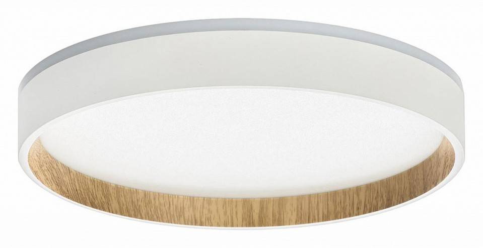 Накладной светильник Citilux Etalon CL750240