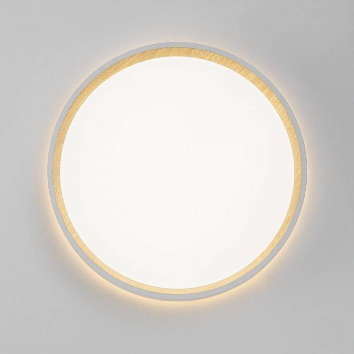 Накладной светильник Citilux Etalon CL750240