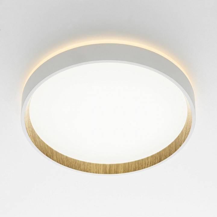 Накладной светильник Citilux Etalon CL750240