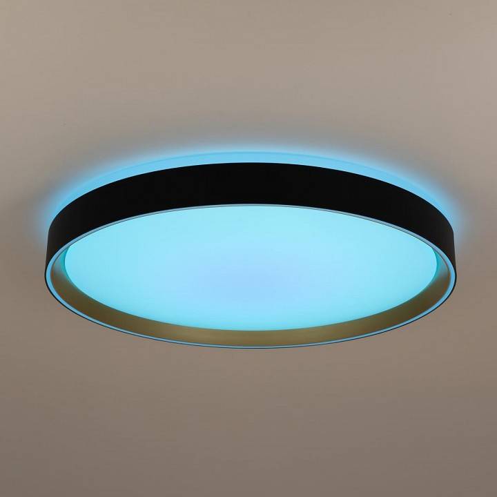 Накладной светильник Citilux BOSS CL751451G