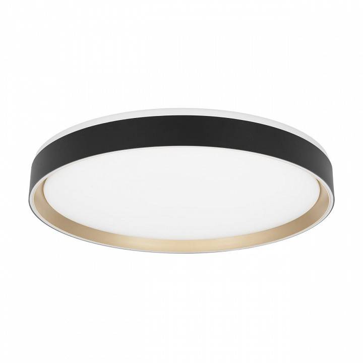 Накладной светильник Citilux BOSS CL751451G