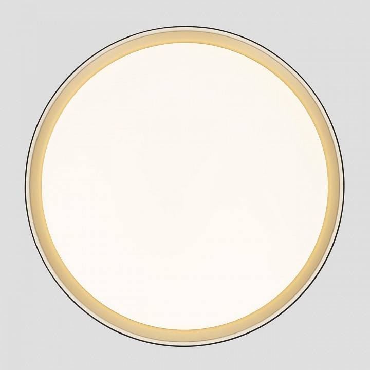 Накладной светильник Citilux BOSS CL751451G