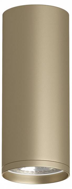 Накладной светильник Denkirs Tube DK2051-SG