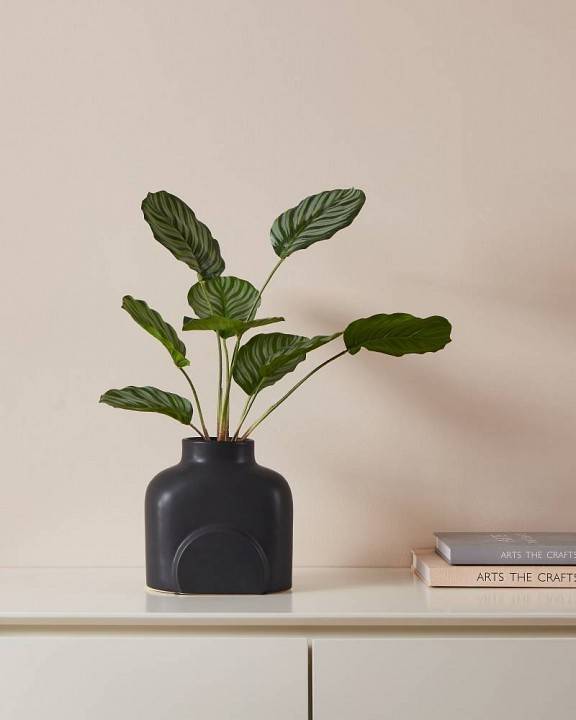 Ваза настольная Eglo Lyaglan 421407