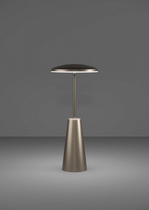 Настольная лампа декоративная Eglo ПРОМО PICCOLA 900924