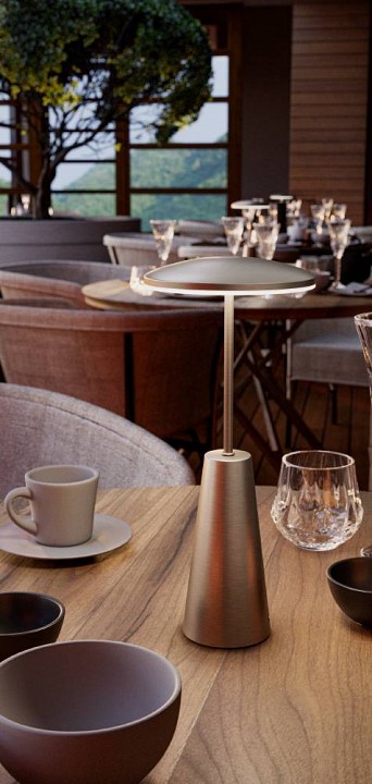 Настольная лампа декоративная Eglo ПРОМО PICCOLA 900924