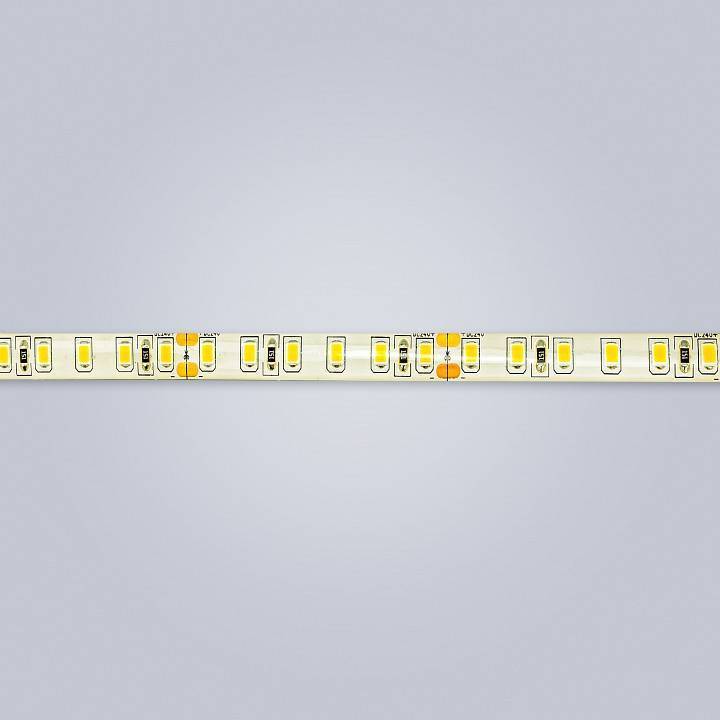 Лента светодиодная Eleganz LUX EL-24V65-96W