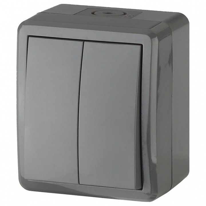 Выключатель двухклавишный Эра Эра Эксперт 11-1404-03