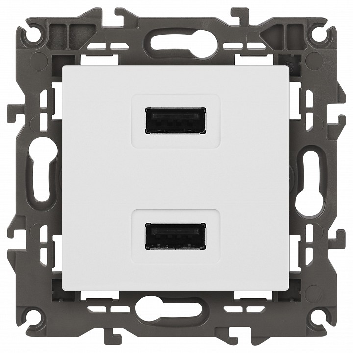 Розетка 2хUSB type A без рамки Эра Эра Elegance 14-4110-01