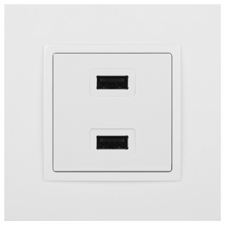 Розетка 2хUSB type A без рамки Эра Эра Elegance 14-4110-01