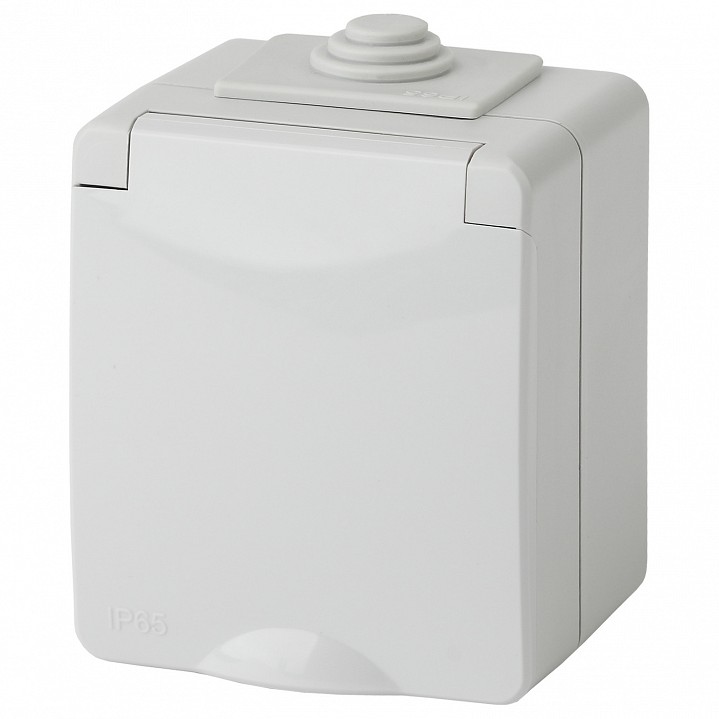 Розетка с заземлением с крышкой Эра Эра Эксперт 11-2601-03