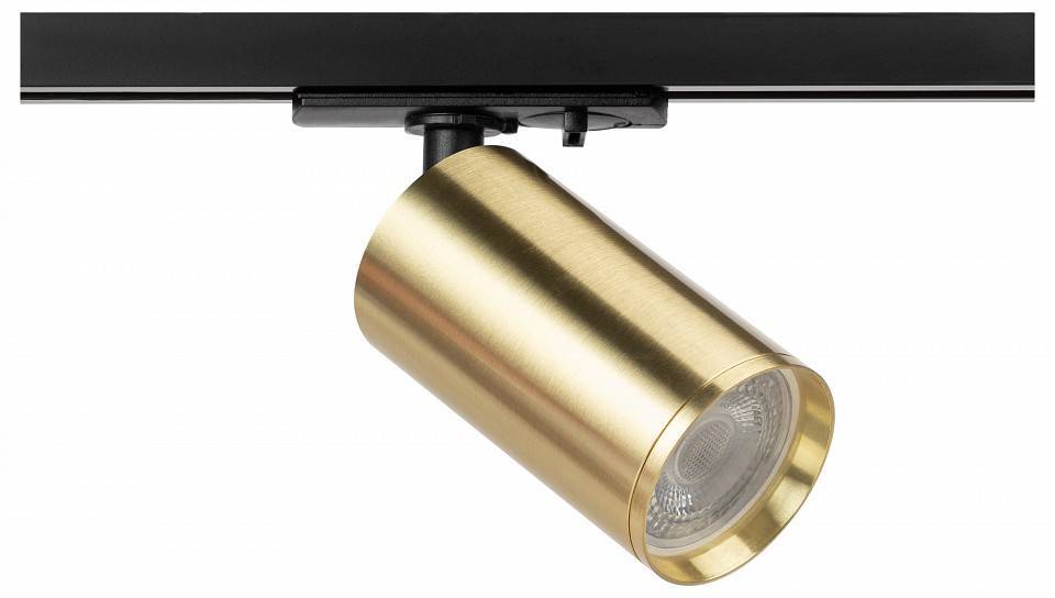 Светильник на штанге ЭРА TR39-GU10 BS