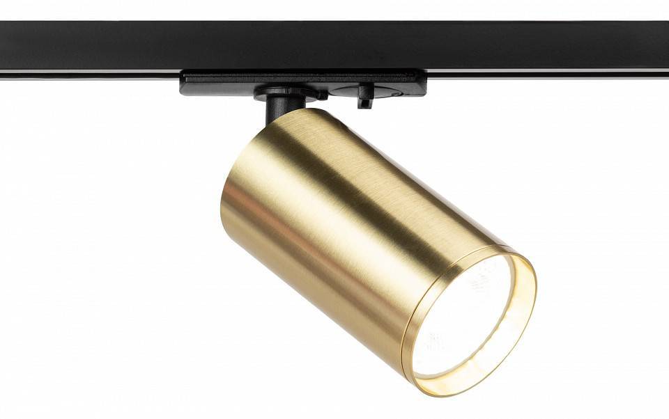 Светильник на штанге ЭРА TR39-GU10 BS