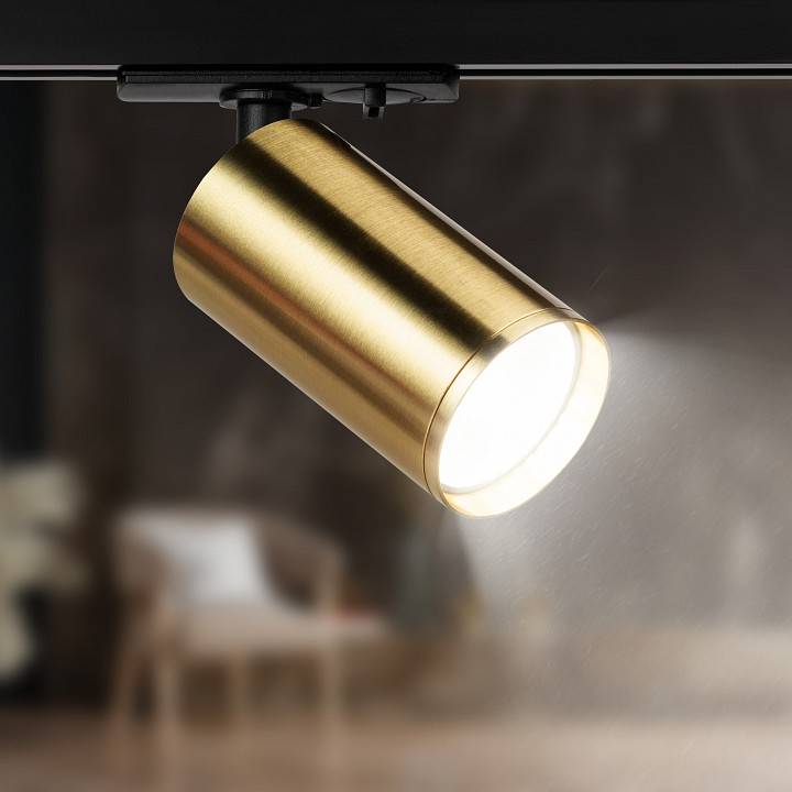 Светильник на штанге ЭРА TR39-GU10 BS