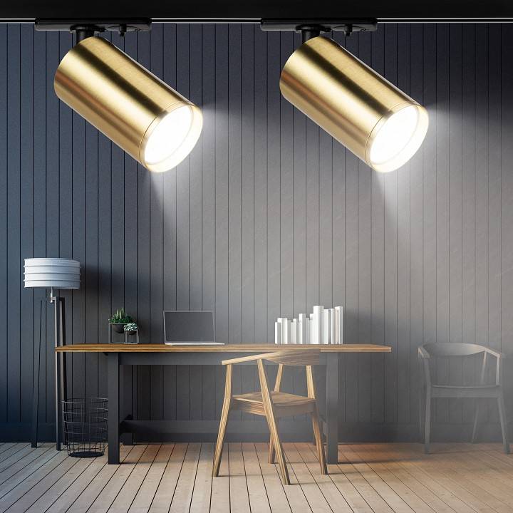 Светильник на штанге ЭРА TR39-GU10 BS