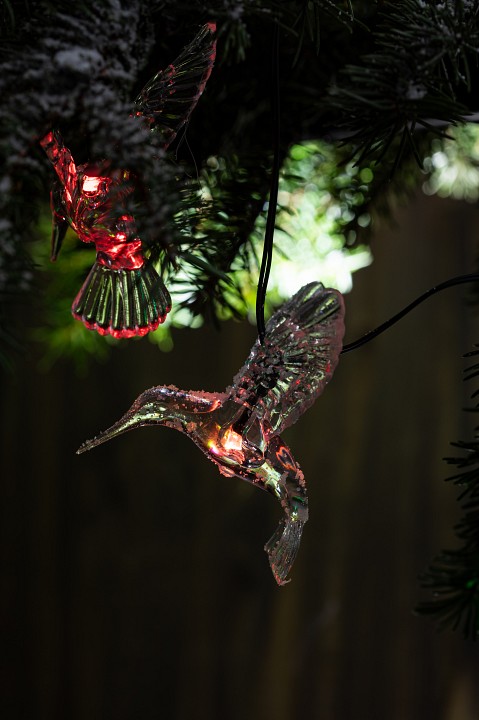 Гирлянда на солнечных батареях Эра  ERASF22-26