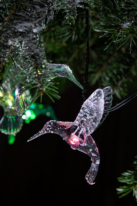 Гирлянда на солнечных батареях Эра  ERASF22-26