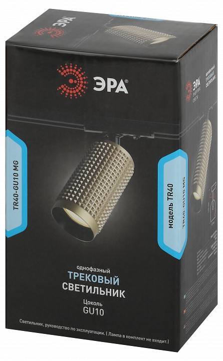 Светильник на штанге Эра  TR40-GU10 MG