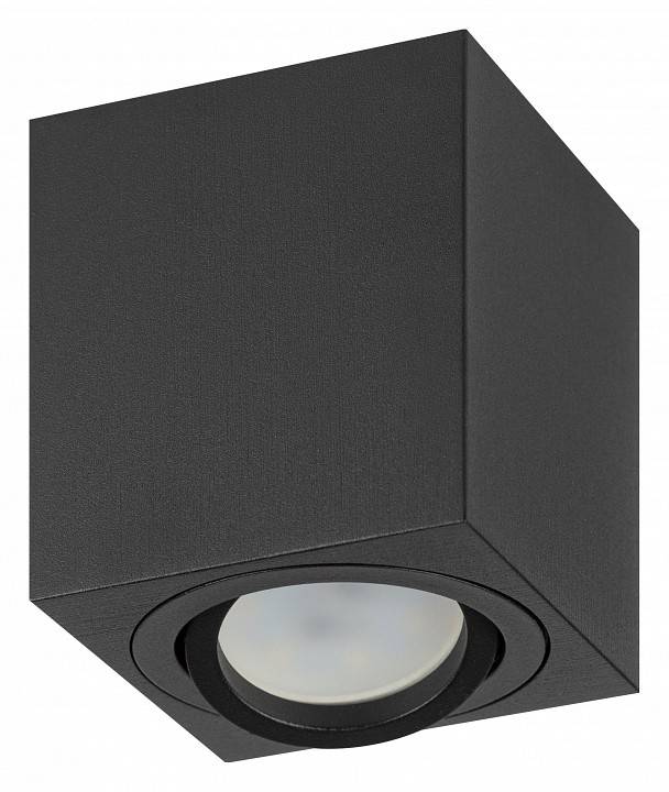 Светильник накладной ЭРА OL22 черный Б0054395