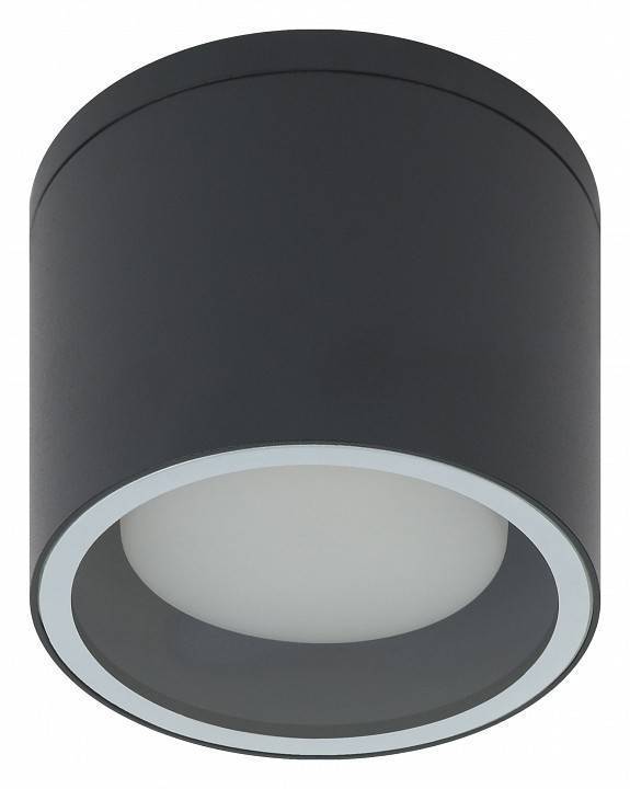Светильник накладной ЭРА WL40 серый Б0054416