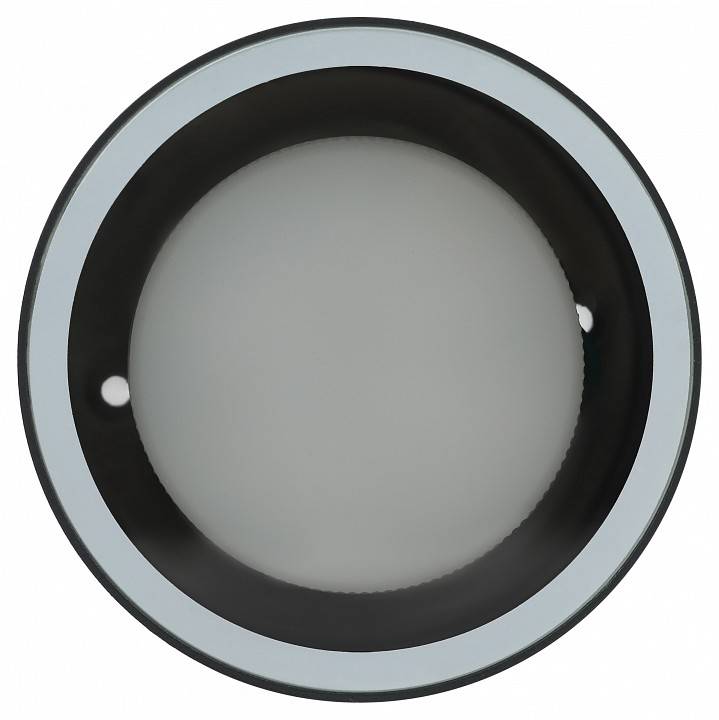 Светильник накладной ЭРА WL40 серый Б0054416