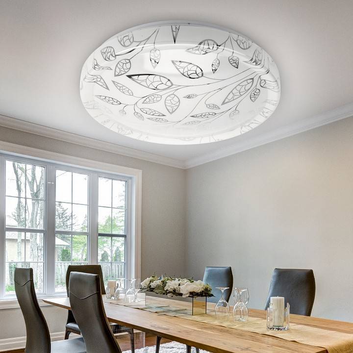 Накладной светильник ЭРА Relict Syuzi SPB-6-50-6,5K