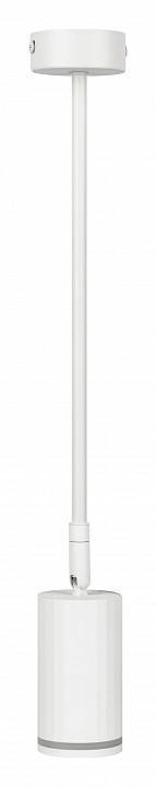Светильник на штанге Эра OL43 WH Б0058489