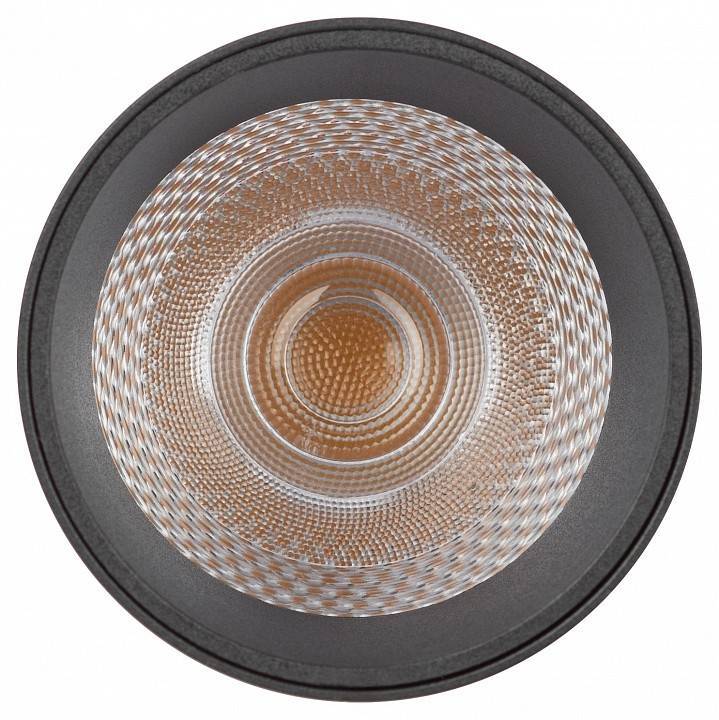 Светильник на штанге Эра  TRM-S5-3-12W4K-BK