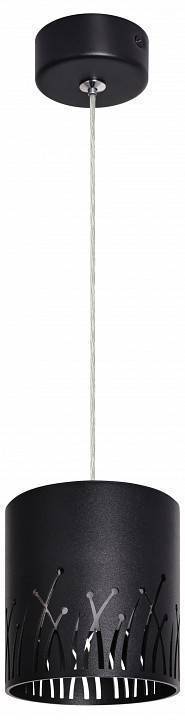Подвесной светильник Эра PL30 BK Б0061408