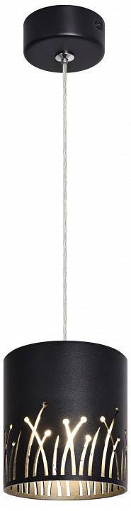 Подвесной светильник Эра PL30 BK Б0061408