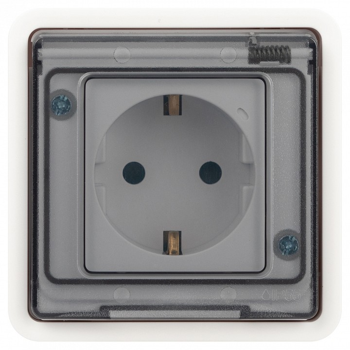 Розетка с заземлением с крышкой Эра Эра Эксперт 11-2521-01