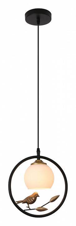 Подвесной светильник Escada Song 1113/1S Black
