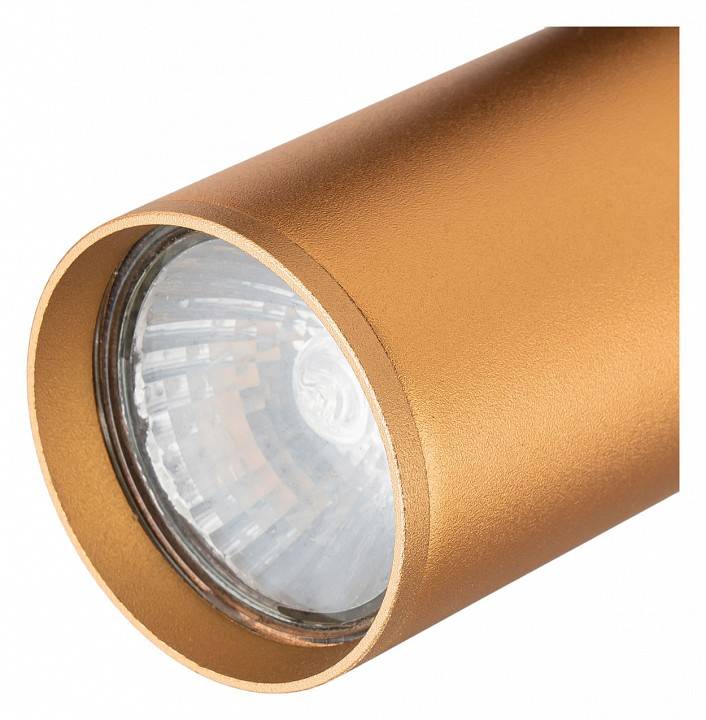 Светильник на штанге Escada 20001 20001TRA/01 BR