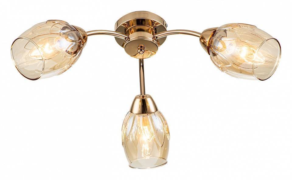 Потолочная люстра Escada Allium 663/3P