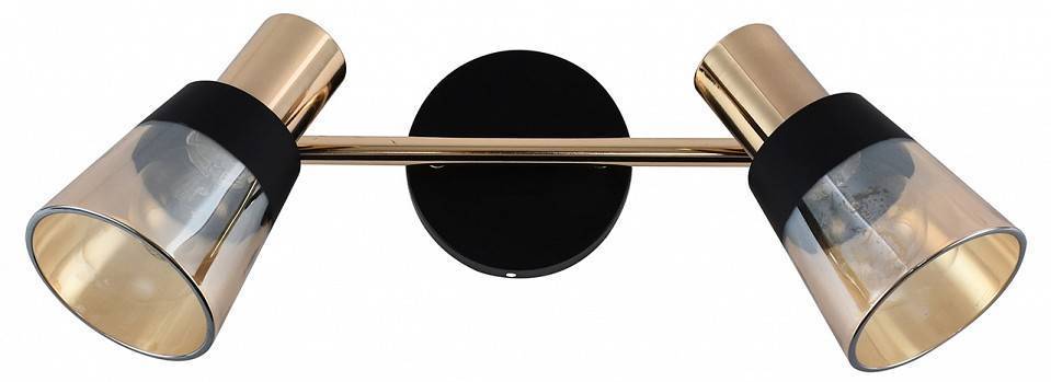 Спот Escada Brandy 2 лампы 684/2A